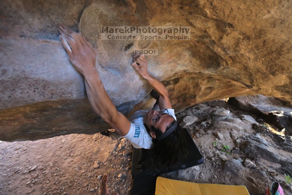 

Filename: SRM_20211212_1536490.jpg
Aperture: f/4.0
Shutter Speed: 1/400
Body: Canon EOS R6
Lens: Canon EF 16-35mm f/2.8 L