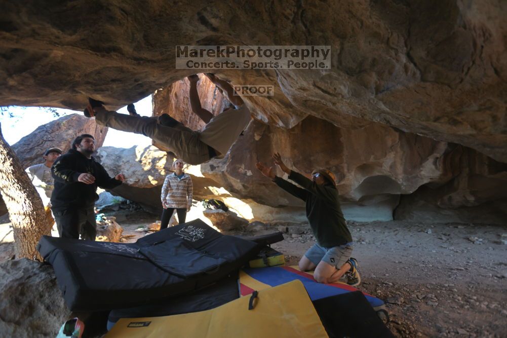 

Filename: SRM_20211212_1545160.jpg
Aperture: f/4.0
Shutter Speed: 1/400
Body: Canon EOS R6
Lens: Canon EF 16-35mm f/2.8 L