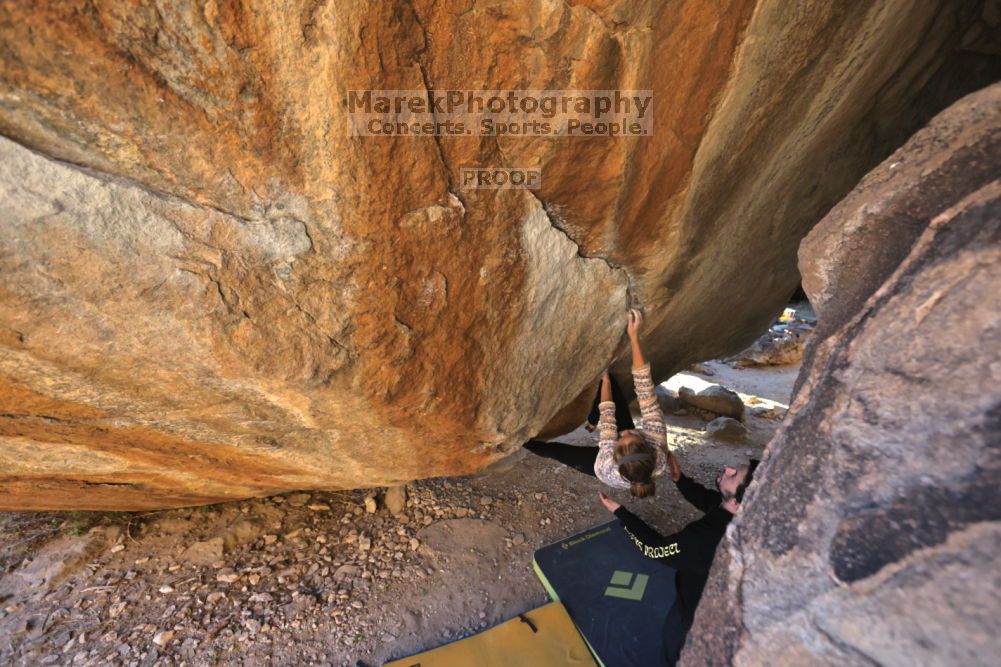 

Filename: SRM_20211212_1607080.jpg
Aperture: f/5.6
Shutter Speed: 1/400
Body: Canon EOS R6
Lens: Canon EF 16-35mm f/2.8 L