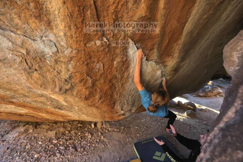 

Filename: SRM_20211212_1609100.jpg
Aperture: f/5.6
Shutter Speed: 1/400
Body: Canon EOS R6
Lens: Canon EF 16-35mm f/2.8 L