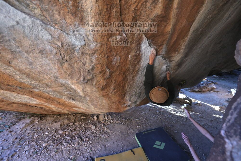 

Filename: SRM_20211212_1612140.jpg
Aperture: f/5.6
Shutter Speed: 1/400
Body: Canon EOS R6
Lens: Canon EF 16-35mm f/2.8 L