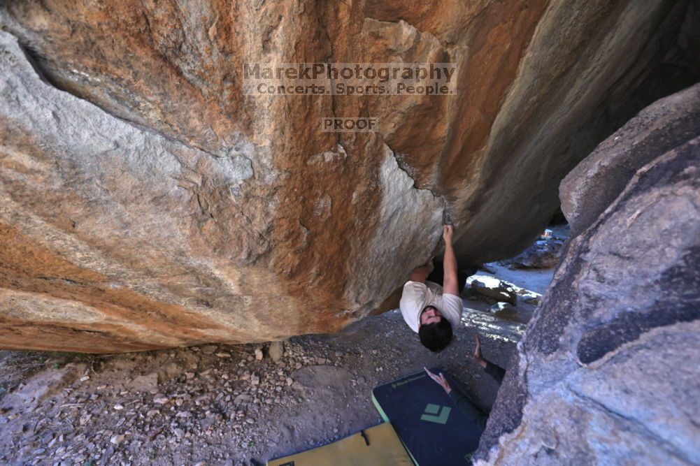 

Filename: SRM_20211212_1615300.jpg
Aperture: f/5.6
Shutter Speed: 1/400
Body: Canon EOS R6
Lens: Canon EF 16-35mm f/2.8 L