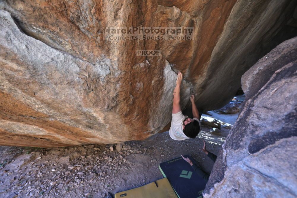 

Filename: SRM_20211212_1615310.jpg
Aperture: f/5.6
Shutter Speed: 1/400
Body: Canon EOS R6
Lens: Canon EF 16-35mm f/2.8 L