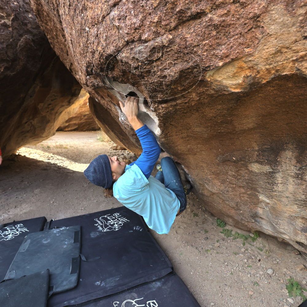 

Filename: SRM_20211219_0921300.jpg
Aperture: f/5.6
Shutter Speed: 1/1000
Body: Canon EOS R6
Lens: Canon EF 16-35mm f/2.8 L