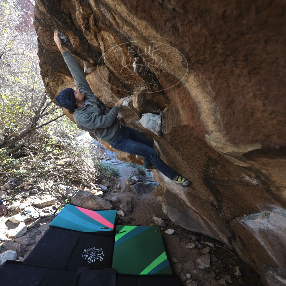 

Filename: SRM_20211219_1218050.jpg
Aperture: f/4.0
Shutter Speed: 1/400
Body: Canon EOS R6
Lens: Canon EF 16-35mm f/2.8 L