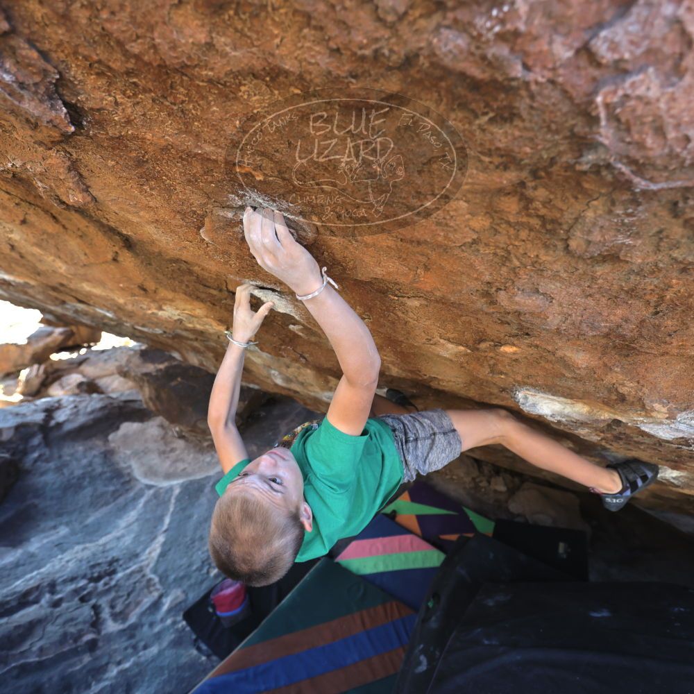 

Filename: SRM_20211222_1403550.jpg
Aperture: f/4.0
Shutter Speed: 1/400
Body: Canon EOS R6
Lens: Canon EF 16-35mm f/2.8 L