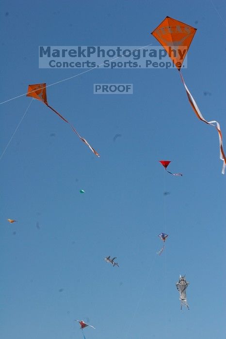 UT kites at the 79th annual Zilker Park Kite Festival, Sunday, March 4, 2007.

Filename: SRM_20070304_1541306.jpg
Aperture: f/14.0
Shutter Speed: 1/500
Body: Canon EOS 20D
Lens: Canon EF 80-200mm f/2.8 L