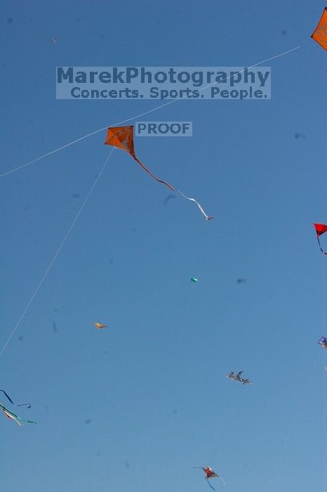 UT kites at the 79th annual Zilker Park Kite Festival, Sunday, March 4, 2007.

Filename: SRM_20070304_1541327.jpg
Aperture: f/14.0
Shutter Speed: 1/500
Body: Canon EOS 20D
Lens: Canon EF 80-200mm f/2.8 L