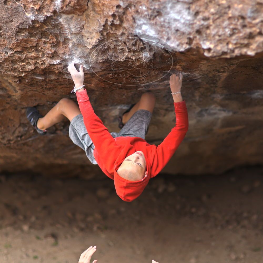 

Filename: SRM_20211227_1040251.jpg
Aperture: f/1.6
Shutter Speed: 1/1000
Body: Canon EOS R6
Lens: Canon EF 85mm f/1.2 L II