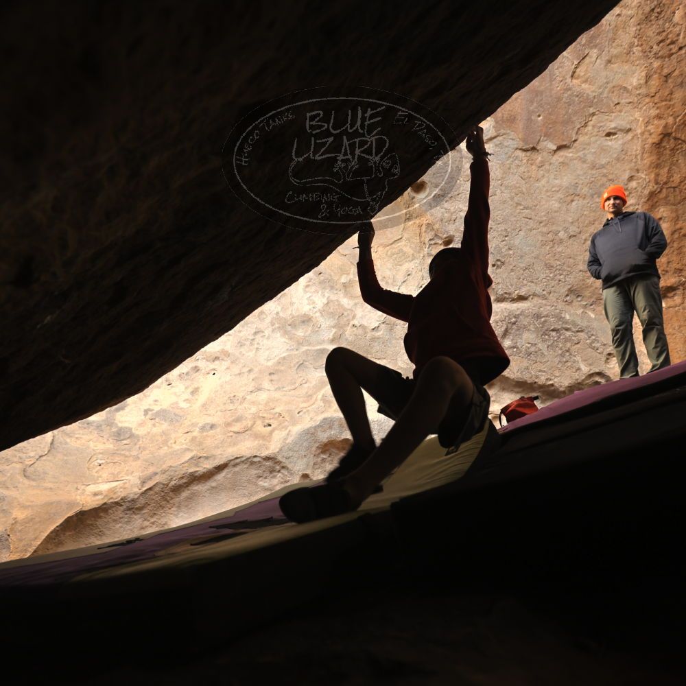 

Filename: SRM_20211227_1543080.jpg
Aperture: f/3.5
Shutter Speed: 1/320
Body: Canon EOS R6
Lens: Canon EF 16-35mm f/2.8 L