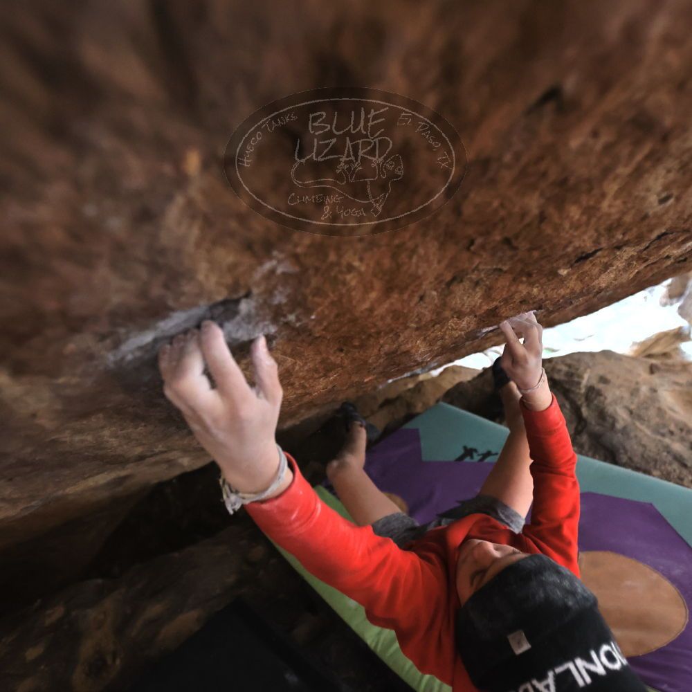 

Filename: SRM_20211227_1557463.jpg
Aperture: f/2.8
Shutter Speed: 1/320
Body: Canon EOS R6
Lens: Canon EF 16-35mm f/2.8 L