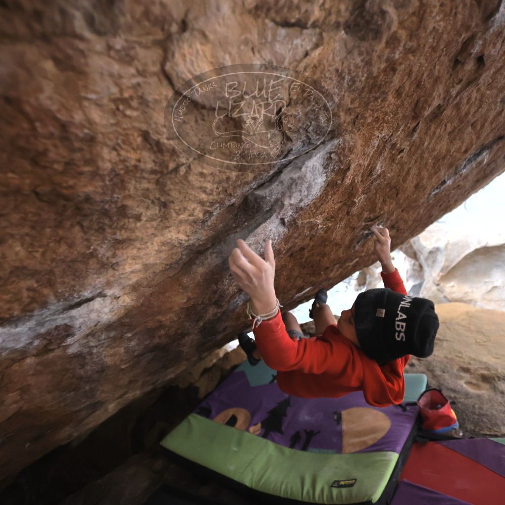 

Filename: SRM_20211227_1557531.jpg
Aperture: f/2.8
Shutter Speed: 1/320
Body: Canon EOS R6
Lens: Canon EF 16-35mm f/2.8 L