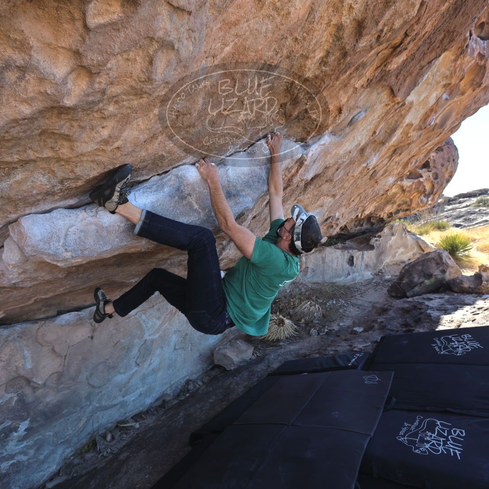 

Filename: SRM_20220106_1131060.jpg
Aperture: f/5.6
Shutter Speed: 1/400
Body: Canon EOS R6
Lens: Canon EF 16-35mm f/2.8 L