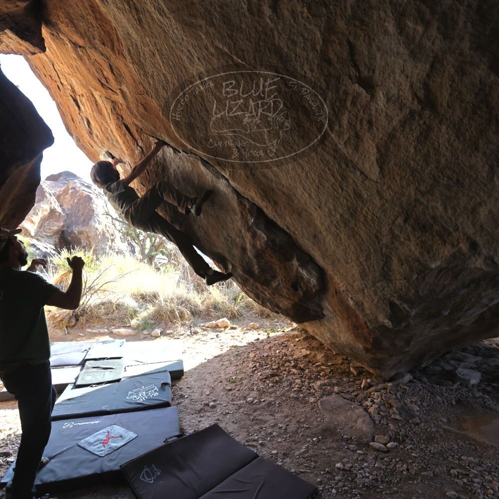 

Filename: SRM_20220106_1446310.jpg
Aperture: f/5.6
Shutter Speed: 1/500
Body: Canon EOS R6
Lens: Canon EF 16-35mm f/2.8 L