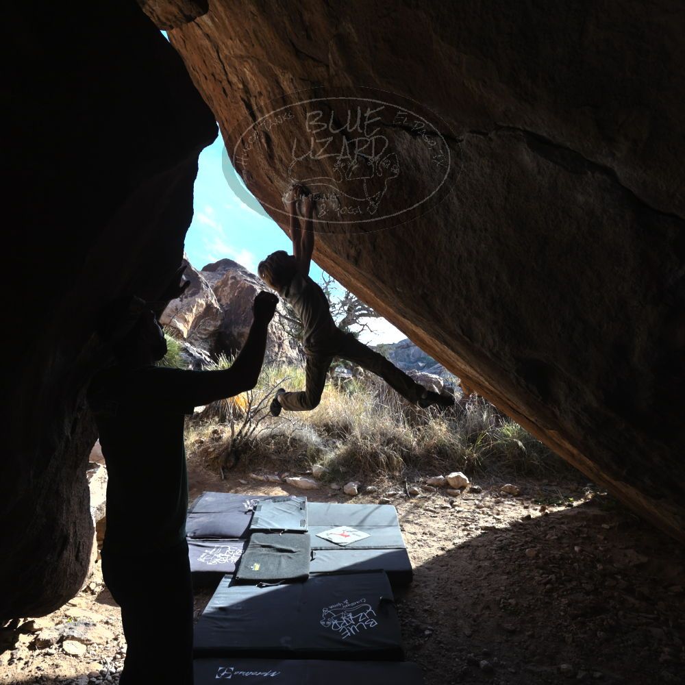 

Filename: SRM_20220106_1449501.jpg
Aperture: f/5.6
Shutter Speed: 1/500
Body: Canon EOS R6
Lens: Canon EF 16-35mm f/2.8 L