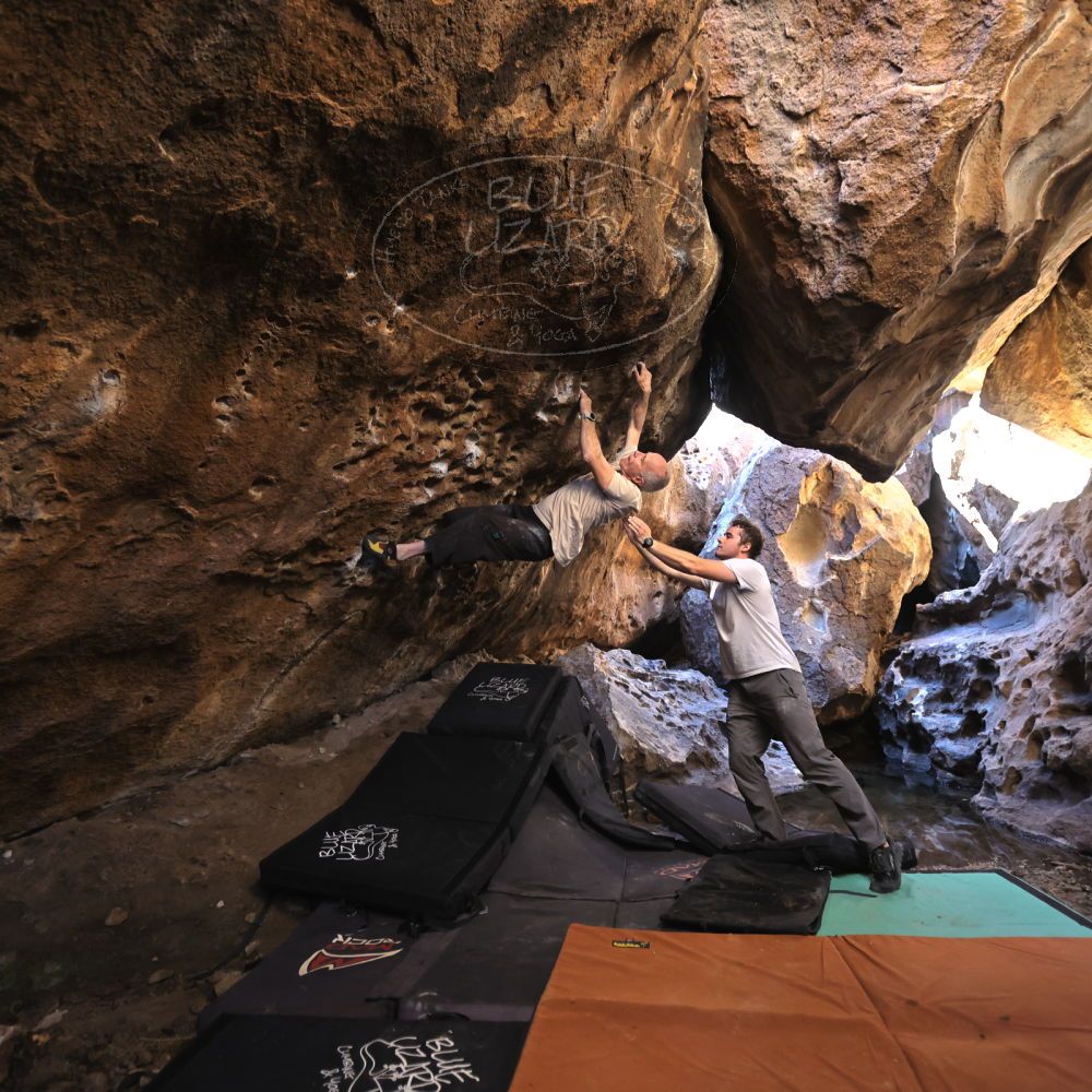 

Filename: SRM_20220107_1226250.jpg
Aperture: f/3.2
Shutter Speed: 1/320
Body: Canon EOS R6
Lens: Canon EF 16-35mm f/2.8 L