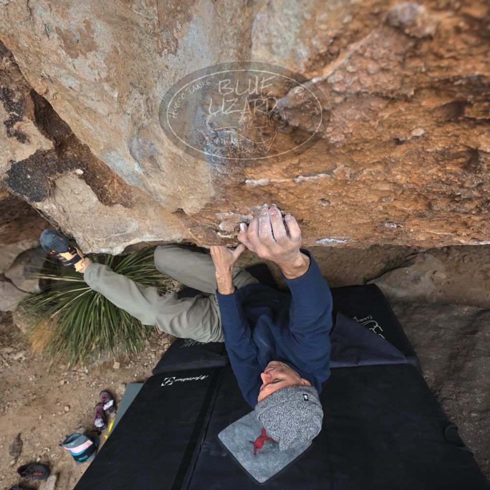 

Filename: SRM_20220109_1158510.jpg
Aperture: f/5.6
Shutter Speed: 1/500
Body: Canon EOS R6
Lens: Canon EF 16-35mm f/2.8 L