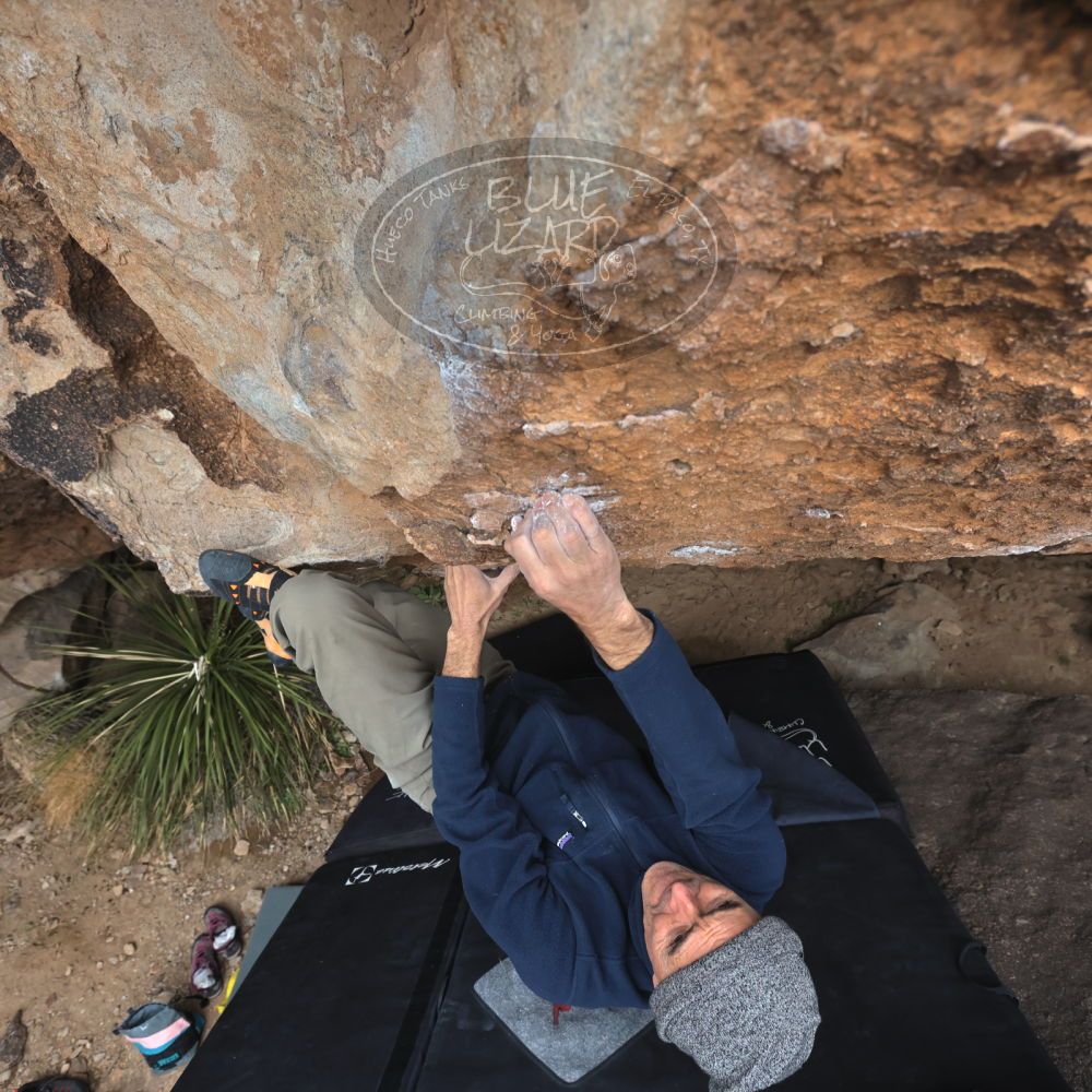 

Filename: SRM_20220109_1158530.jpg
Aperture: f/5.6
Shutter Speed: 1/500
Body: Canon EOS R6
Lens: Canon EF 16-35mm f/2.8 L