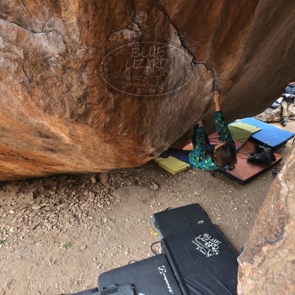 

Filename: SRM_20220109_1234570.jpg
Aperture: f/5.6
Shutter Speed: 1/500
Body: Canon EOS R6
Lens: Canon EF 16-35mm f/2.8 L