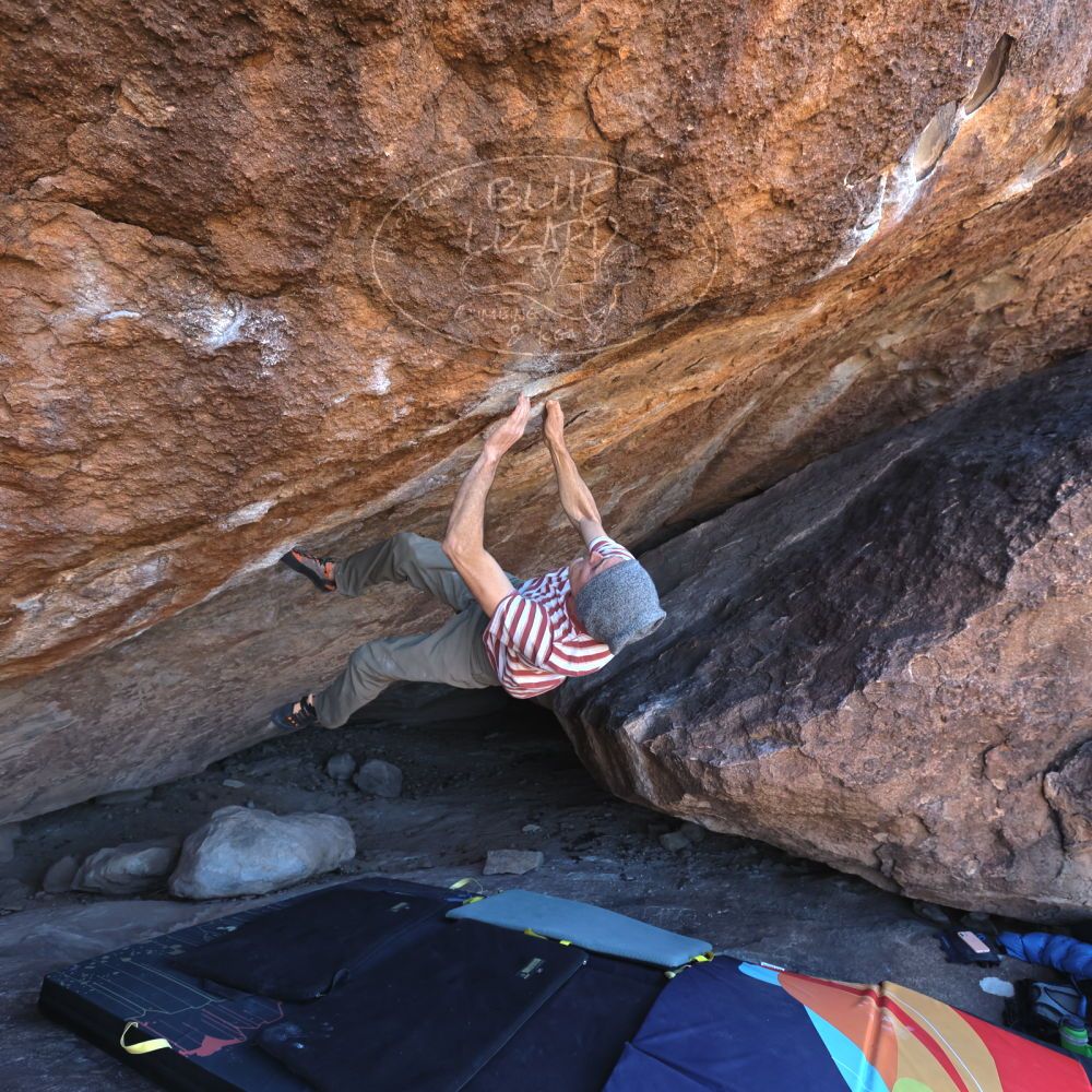 

Filename: SRM_20220113_1147110.jpg
Aperture: f/5.0
Shutter Speed: 1/400
Body: Canon EOS R6
Lens: Canon EF 16-35mm f/2.8 L