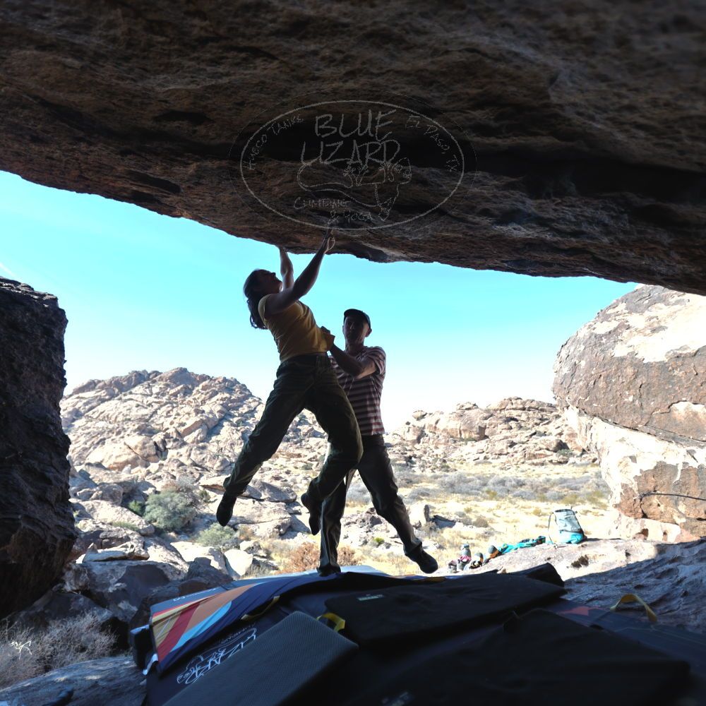 

Filename: SRM_20220113_1327322.jpg
Aperture: f/2.8
Shutter Speed: 1/400
Body: Canon EOS R6
Lens: Canon EF 16-35mm f/2.8 L