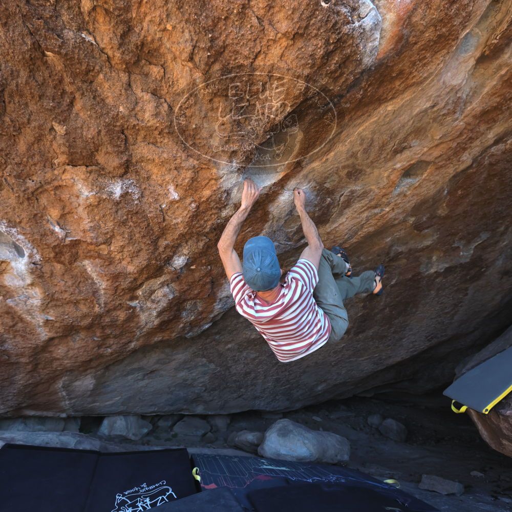 

Filename: SRM_20220113_1341550.jpg
Aperture: f/5.6
Shutter Speed: 1/500
Body: Canon EOS R6
Lens: Canon EF 16-35mm f/2.8 L
