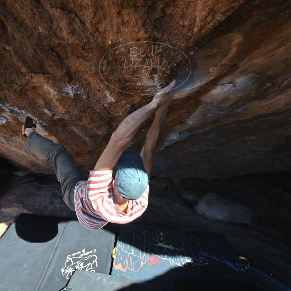 

Filename: SRM_20220113_1417300.jpg
Aperture: f/8.0
Shutter Speed: 1/1000
Body: Canon EOS R6
Lens: Canon EF 16-35mm f/2.8 L