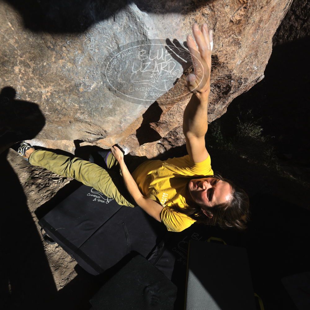 

Filename: SRM_20220113_1524010.jpg
Aperture: f/8.0
Shutter Speed: 1/1000
Body: Canon EOS R6
Lens: Canon EF 16-35mm f/2.8 L