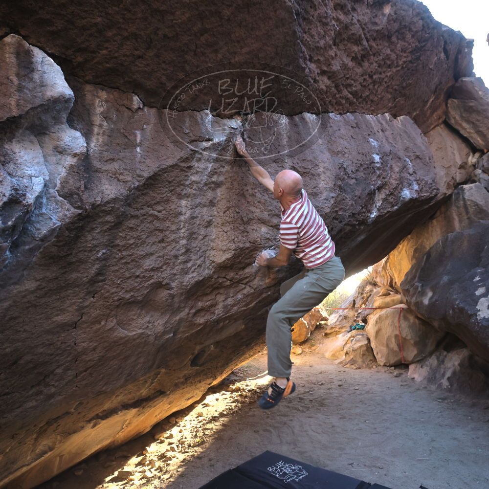 

Filename: SRM_20220113_1553070.jpg
Aperture: f/5.6
Shutter Speed: 1/500
Body: Canon EOS R6
Lens: Canon EF 16-35mm f/2.8 L