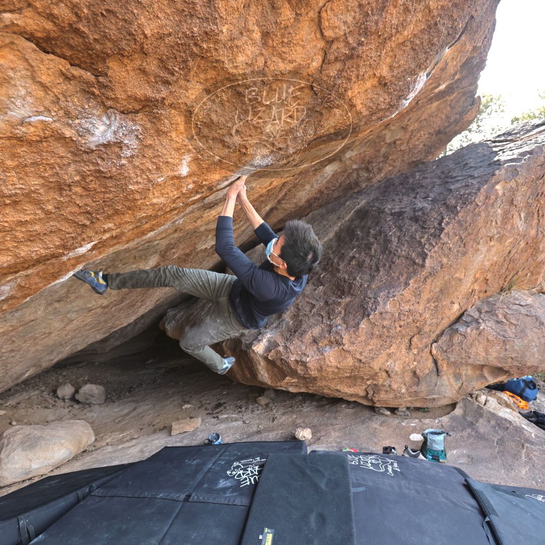 

Filename: SRM_20220123_1248000.jpg
Aperture: f/4.0
Shutter Speed: 1/400
Body: Canon EOS R6
Lens: Canon EF 16-35mm f/2.8 L