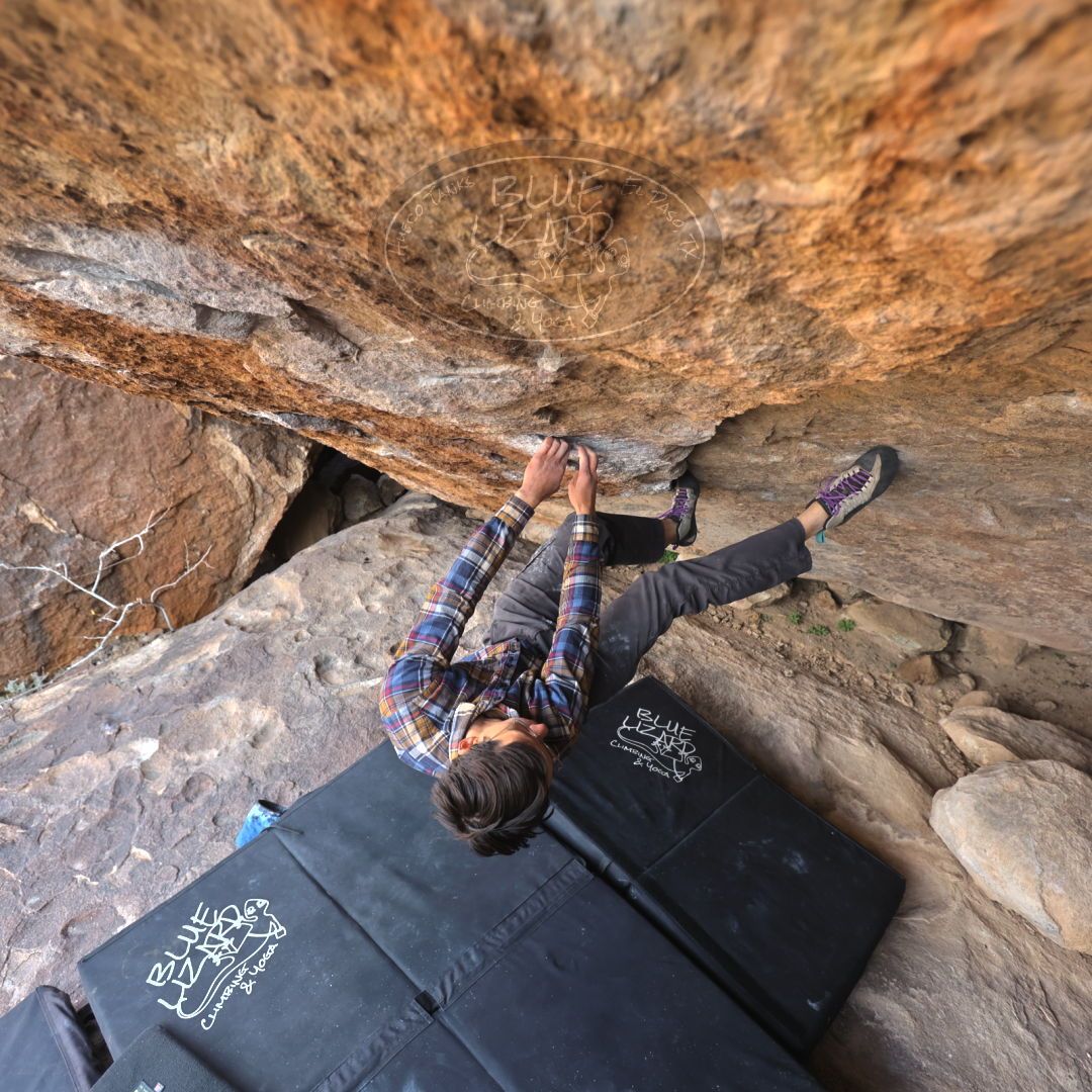 

Filename: SRM_20220123_1250380.jpg
Aperture: f/4.0
Shutter Speed: 1/400
Body: Canon EOS R6
Lens: Canon EF 16-35mm f/2.8 L