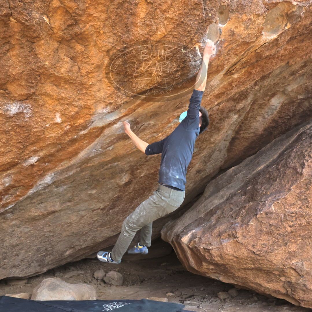 

Filename: SRM_20220123_1331091.jpg
Aperture: f/16.0
Shutter Speed: 1/400
Body: Canon EOS R6
Lens: Canon EF 16-35mm f/2.8 L