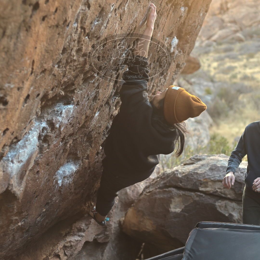 

Filename: SRM_20220123_1718260.jpg
Aperture: f/3.2
Shutter Speed: 1/250
Body: Canon EOS R6
Lens: Canon EF 50mm f/1.8 II