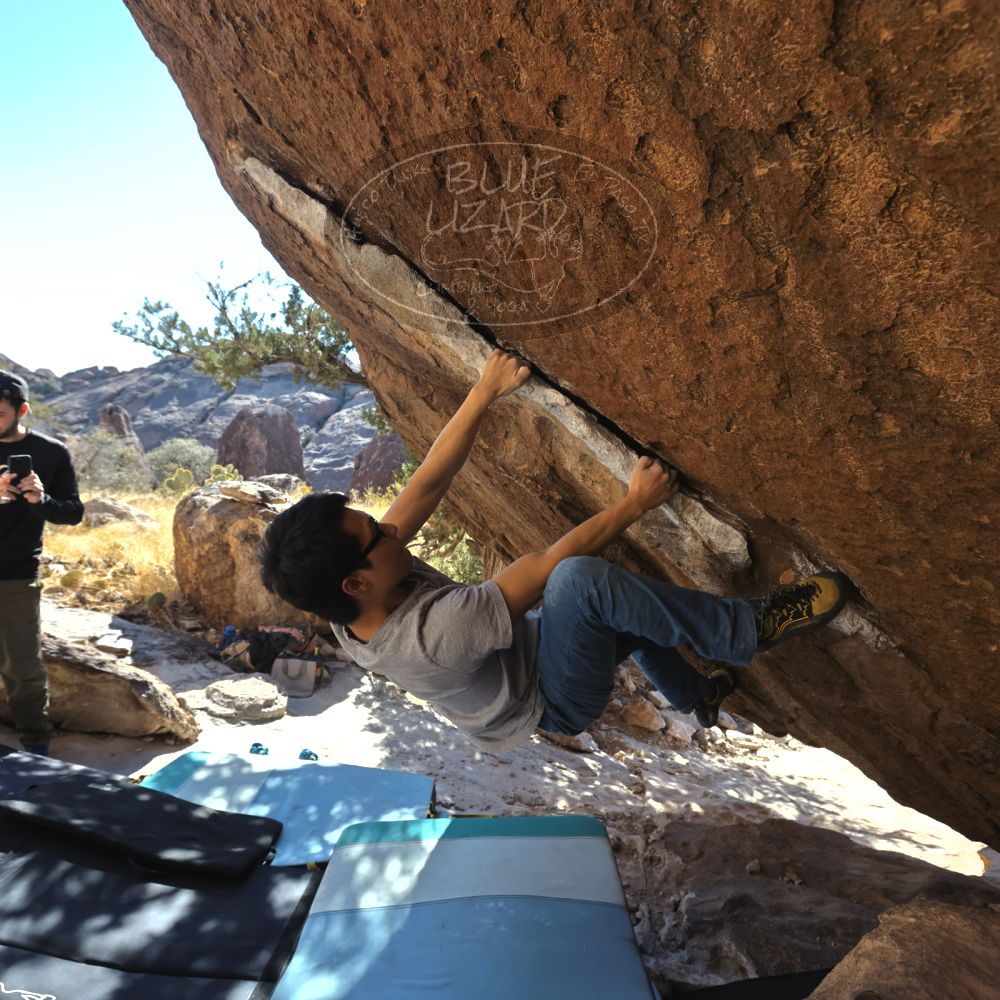 

Filename: SRM_20220213_1454490.jpg
Aperture: f/5.6
Shutter Speed: 1/500
Body: Canon EOS R6
Lens: Canon EF 16-35mm f/2.8 L