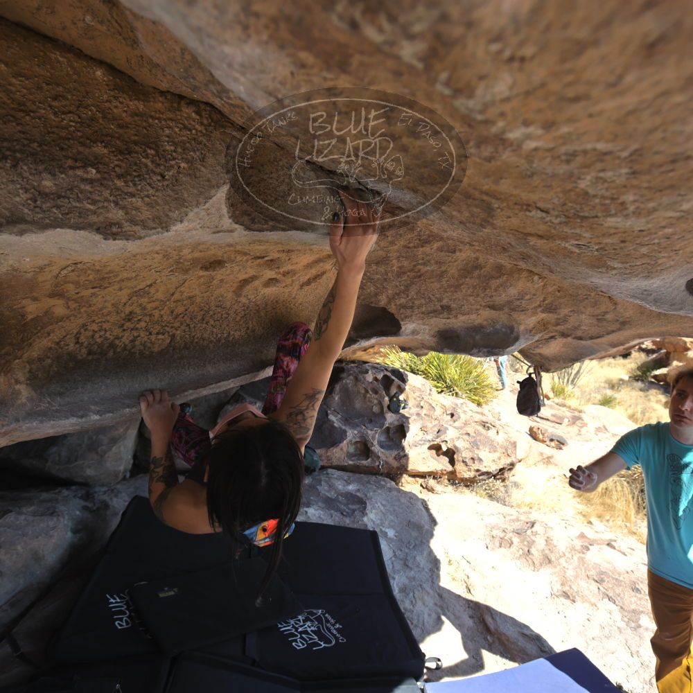 

Filename: SRM_20220220_1303080.jpg
Aperture: f/5.6
Shutter Speed: 1/400
Body: Canon EOS R6
Lens: Canon EF 16-35mm f/2.8 L