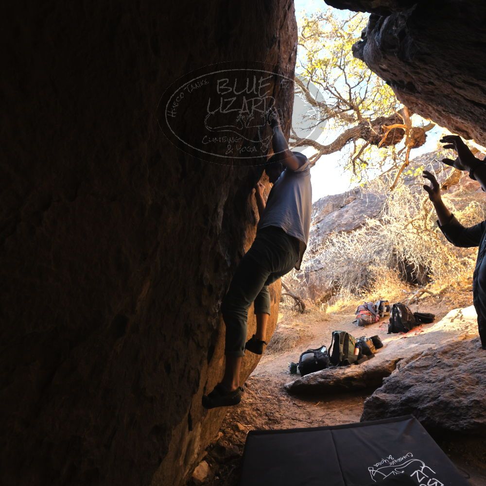 

Filename: SRM_20220220_1700570.jpg
Aperture: f/5.6
Shutter Speed: 1/400
Body: Canon EOS R6
Lens: Canon EF 16-35mm f/2.8 L