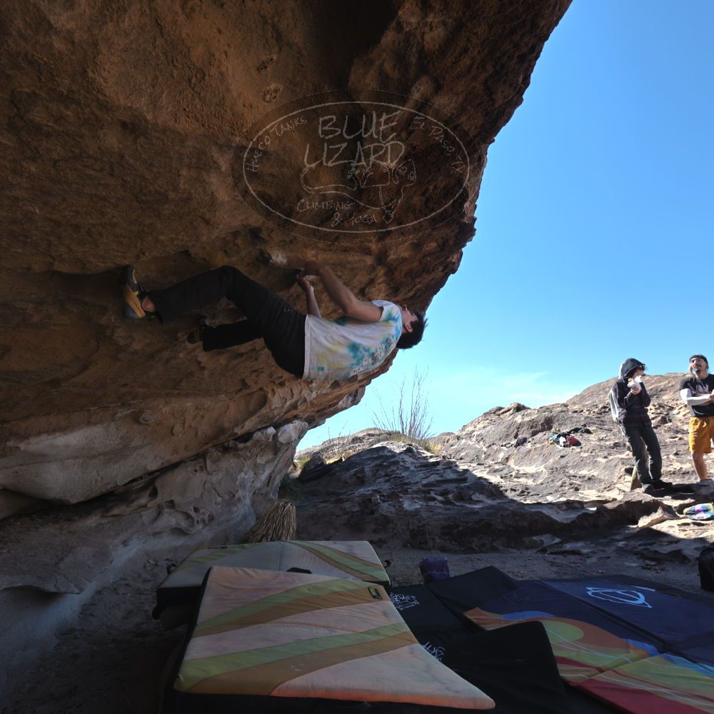 

Filename: SRM_20220226_1127291.jpg
Aperture: f/5.6
Shutter Speed: 1/250
Body: Canon EOS R6
Lens: Canon EF 16-35mm f/2.8 L
