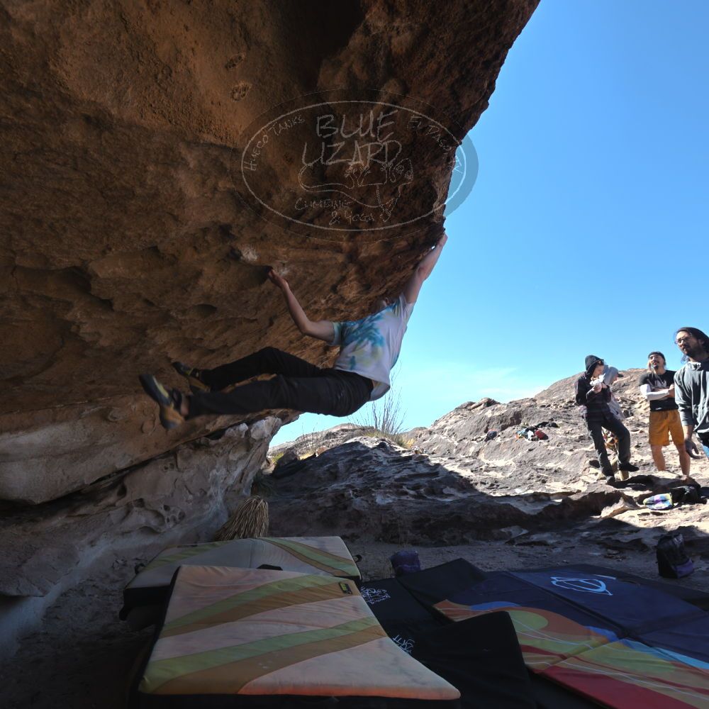 

Filename: SRM_20220226_1127292.jpg
Aperture: f/5.6
Shutter Speed: 1/250
Body: Canon EOS R6
Lens: Canon EF 16-35mm f/2.8 L