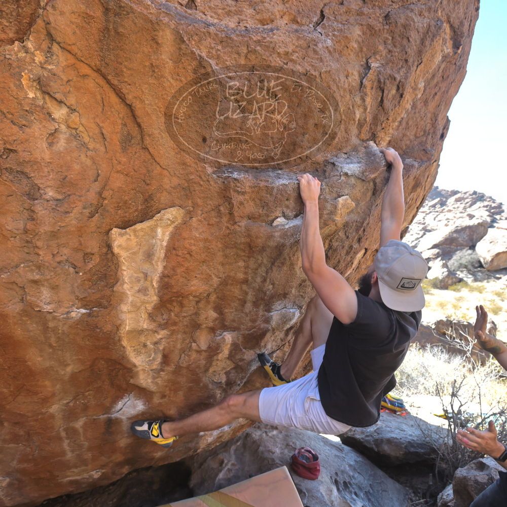 

Filename: SRM_20220227_1340000.jpg
Aperture: f/5.6
Shutter Speed: 1/800
Body: Canon EOS R6
Lens: Canon EF 16-35mm f/2.8 L