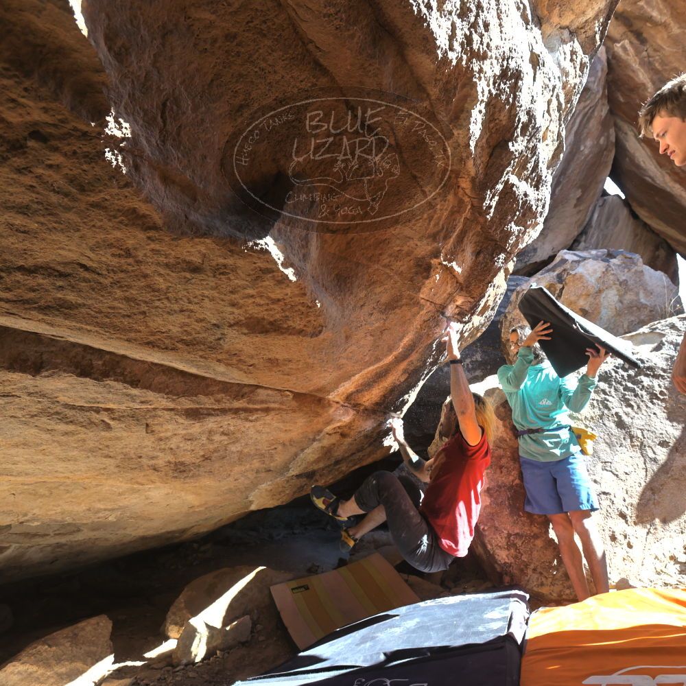 

Filename: SRM_20220227_1428190.jpg
Aperture: f/5.6
Shutter Speed: 1/500
Body: Canon EOS R6
Lens: Canon EF 16-35mm f/2.8 L