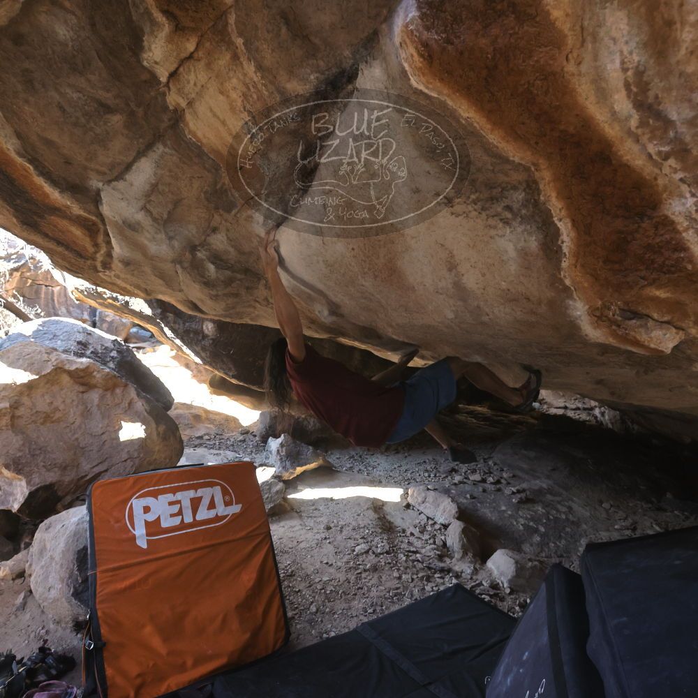 

Filename: SRM_20220227_1506310.jpg
Aperture: f/5.6
Shutter Speed: 1/500
Body: Canon EOS R6
Lens: Canon EF 16-35mm f/2.8 L