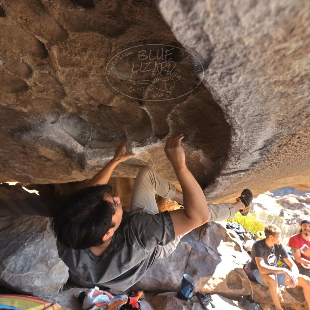 

Filename: SRM_20220227_1021370.jpg
Aperture: f/5.6
Shutter Speed: 1/160
Body: Canon EOS R6
Lens: Canon EF 16-35mm f/2.8 L