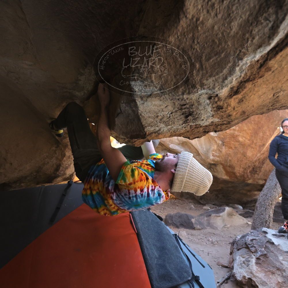 

Filename: SRM_20220305_1153580.jpg
Aperture: f/8.0
Shutter Speed: 1/500
Body: Canon EOS R6
Lens: Canon EF 16-35mm f/2.8 L