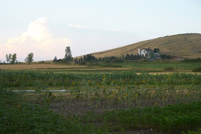 Kelly Kiefer's and John Saalwachter's wedding.

Filename: SRM_20070729_2056348.jpg
Aperture: f/5.6
Shutter Speed: 1/50
Body: Canon EOS-1D Mark II
Lens: Canon EF 50mm f/1.8 II