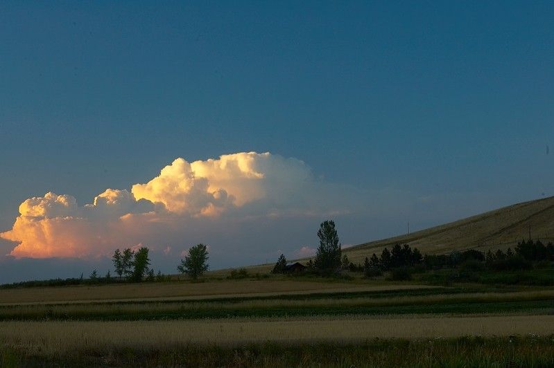 Kelly Kiefer's and John Saalwachter's wedding.

Filename: SRM_20070729_2106049.jpg
Aperture: f/11.0
Shutter Speed: 1/25
Body: Canon EOS-1D Mark II
Lens: Canon EF 50mm f/1.8 II