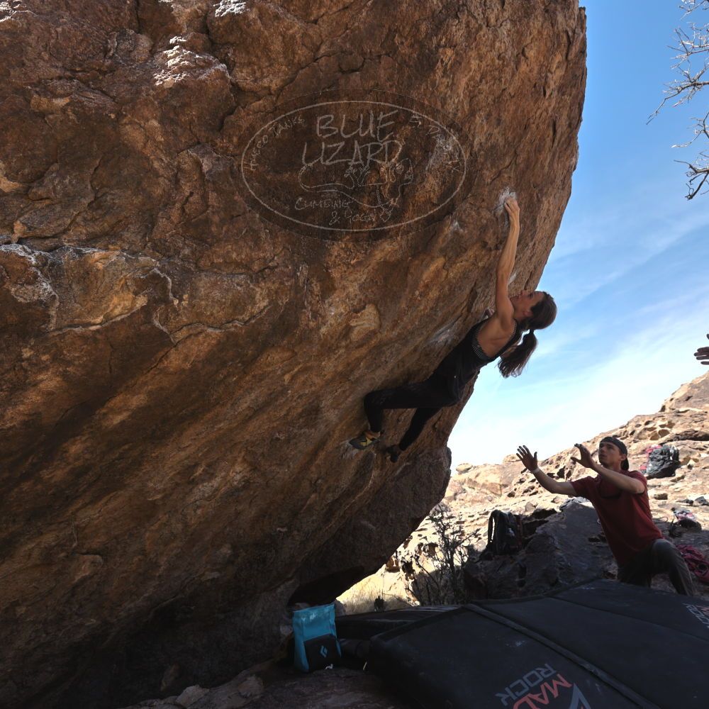 

Filename: SRM_20220319_1201200.jpg
Aperture: f/5.6
Shutter Speed: 1/500
Body: Canon EOS R6
Lens: Canon EF 16-35mm f/2.8 L