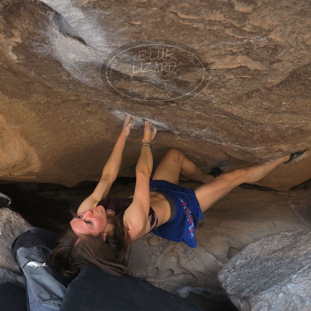 Filename: SRM_20220319_1314020.jpg
Aperture: f/5.6
Shutter Speed: 1/400
Body: Canon EOS R6
Lens: Canon EF 16-35mm f/2.8 L