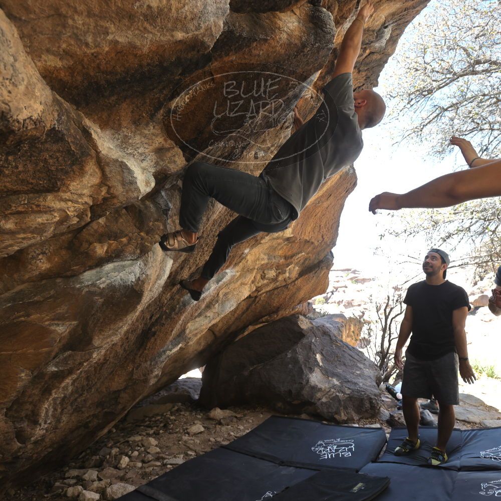 

Filename: SRM_20220408_1316170.jpg
Aperture: f/5.6
Shutter Speed: 1/320
Body: Canon EOS R6
Lens: Canon EF 16-35mm f/2.8 L