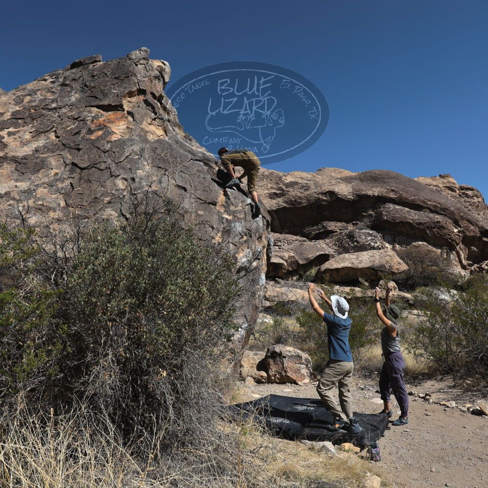 

Filename: SRM_20220409_0928580.jpg
Aperture: f/5.6
Shutter Speed: 1/2500
Body: Canon EOS R6
Lens: Canon EF 16-35mm f/2.8 L
