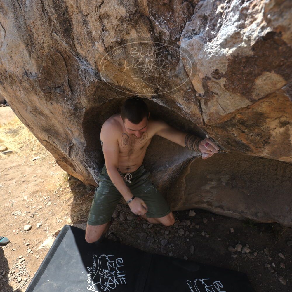 

Filename: SRM_20220409_1038040.jpg
Aperture: f/5.6
Shutter Speed: 1/320
Body: Canon EOS R6
Lens: Canon EF 16-35mm f/2.8 L